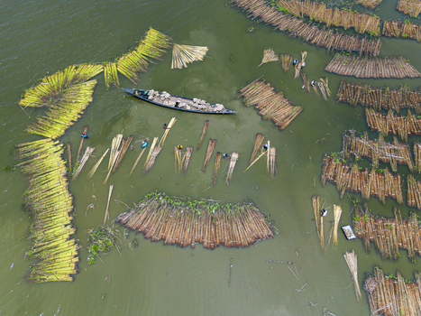 Natore Bangladesh 25 July 2026 Aerial view of workers processing jute stalks in the water with small boats in a rural area.