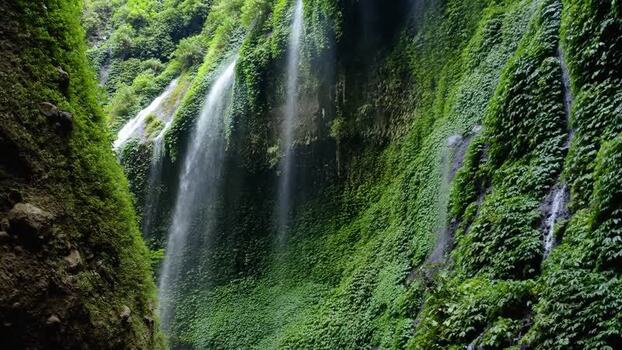 Aerial view of Madakaripura Waterfall in a lush canyon Indonesia. Aerial view of Madakaripura Waterfall in a lush canyon Indonesia.