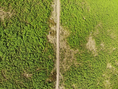 Aerial view of a dirt path winding through the lush green landscape of the Malvern Hills in Malvern England United Kingdom.