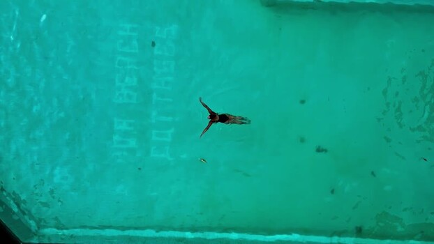 Aerial view of a person swimming in a pool in Bali Indonesia.