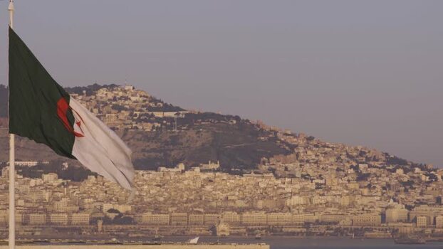 Aerial view of Algerian flag with Algiers city Algeria.