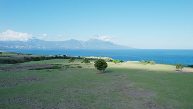 Aerial view of Mausui Savanna and the coast in Kota Komba Indonesia.