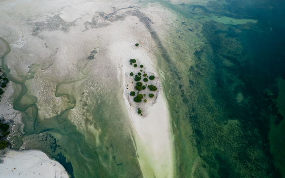 Aerial view of turquoise waters embrace a sandy islet dotted with verdant mangroves a serene contrast of textures and tones. Paje Unguja South Region Tanzania.