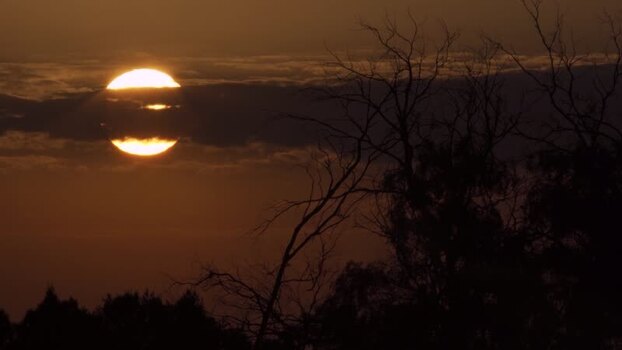 Aerial view of sunset behind clouds and trees Algeria.