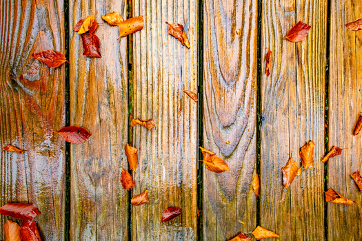 View of wet wooden terrace planks with scattered orange and brown autumn leaves during a rainy day in the Black Forest in Offenburg Baden Wurttemberg Germany. View of wet wooden terrace planks with scattered orange and brown autumn leaves during a rainy day in the Black Forest in Offenburg Baden Wurttemberg Germany.