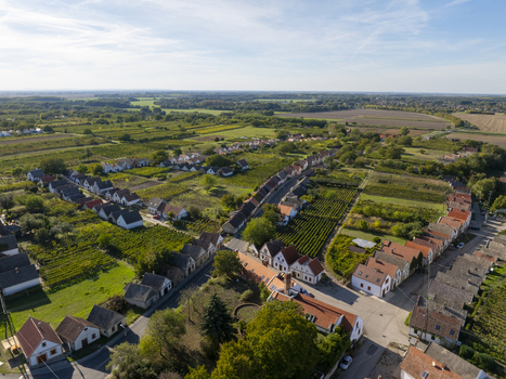 Aerial view of Hajos pincefalu a historic wine cellar village with traditional buildings and vineyards surrounded by agricultural fields under a clear blue sky Hajos Hungary. Aerial view of Hajos pincefalu a historic wine cellar village with traditional buildings and vineyards surrounded by agricultural fields under a clear blue sky Hajos Hungary.