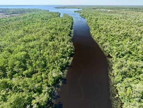 Aerial view of Sixmile Creek winding through dense green forest and lush wetlands under a clear blue sky in St. Johns County Florida United States.