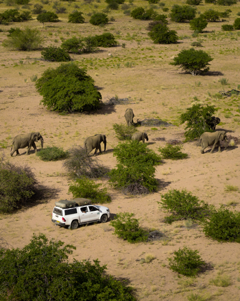 Aerial view of a white vehicle parked amidst sparse arid land where elephants roam freely among the scattered green bushes Uis Erongo Region Namibia.