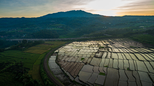 Aerial view of flooded rice paddy fields reflecting the golden sunset light with a large mountain and a highway bridge in Indonesia.