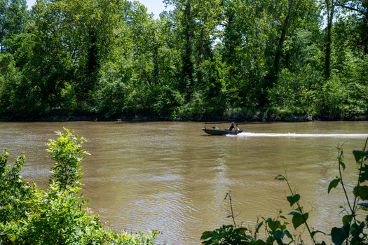 View of a motorboat cruising on the river past dense green forest at Greentree Park in Kirkwood Missouri United States. View of a motorboat cruising on the river past dense green forest at Greentree Park in Kirkwood Missouri United States.