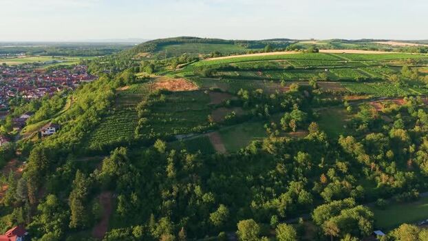 Aerial view of Petersberg vineyards in Weingarten Germany. Aerial view of Petersberg vineyards in Weingarten Germany.