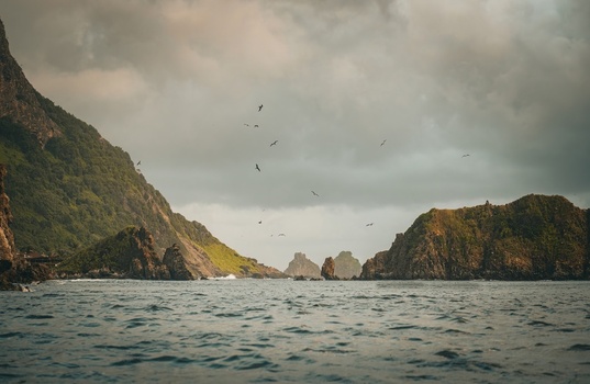View of rocky cliffs and lush green hills rising from the ocean under a cloudy sky with birds flying Fernando de Noronha State of Pernambuco Brazil. View of rocky cliffs and lush green hills rising from the ocean under a cloudy sky with birds flying Fernando de Noronha State of Pernambuco Brazil.