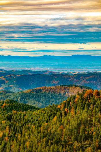 View of rolling hills of the Black Forest covered in dense autumn foliage under a dramatic cloudy sky at sunset Offenburg Baden Wurttemberg Germany. View of rolling hills of the Black Forest covered in dense autumn foliage under a dramatic cloudy sky at sunset Offenburg Baden Wurttemberg Germany.