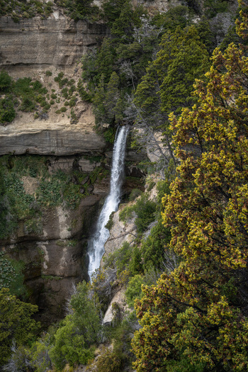 View of Cascada Nant y Fall cascading down a rocky cliff surrounded by lush green trees and native vegetation in Trevelin Chubut Argentina. View of Cascada Nant y Fall cascading down a rocky cliff surrounded by lush green trees and native vegetation in Trevelin Chubut Argentina.