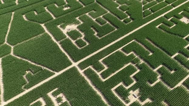 Aerial view of Labyrinthis corn maze in Soultz Haut Rhin France.