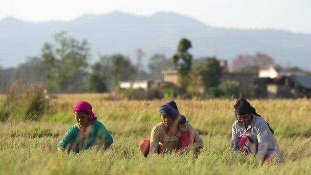 View of women working in a field in Dang Nepal