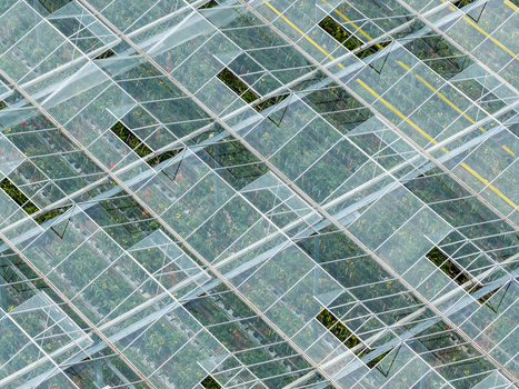 Aerial view of a large greenhouse farm with glass panels and metal structures covering rows of plants in Poland. Aerial view of a large greenhouse farm with glass panels and metal structures covering rows of plants in Poland.