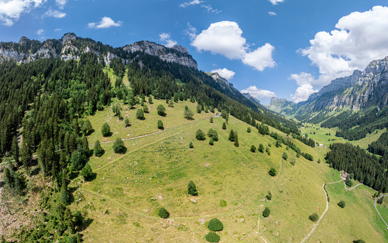 Aerial view of the Justistal valley near the Niederhorn and Lake Thun featuring lush green alpine meadows dense forests and rocky peaks under a blue sky in Sigriswil Bern Switzerland. Aerial view of the Justistal valley near the Niederhorn and Lake Thun featuring lush green alpine meadows dense forests and rocky peaks under a blue sky in Sigriswil Bern Switzerland.