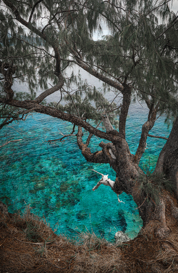 View of a weathered tree with textured bark overhanging the clear turquoise waters of the sea in Indonesia. View of a weathered tree with textured bark overhanging the clear turquoise waters of the sea in Indonesia.