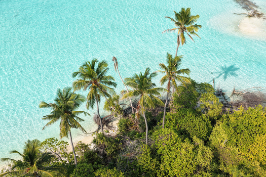 Aerial view of a lush tropical island with tall palm trees and dense vegetation surrounded by crystal clear turquoise lagoon water Innafinolhu Haa Alif Atoll Maldives. Aerial view of a lush tropical island with tall palm trees and dense vegetation surrounded by crystal clear turquoise lagoon water Innafinolhu Haa Alif Atoll Maldives.
