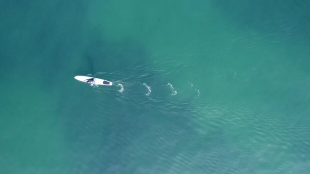 Aerial view of paddleboarder at Circuito de Playas Peru. Aerial view of paddleboarder at Circuito de Playas Peru.