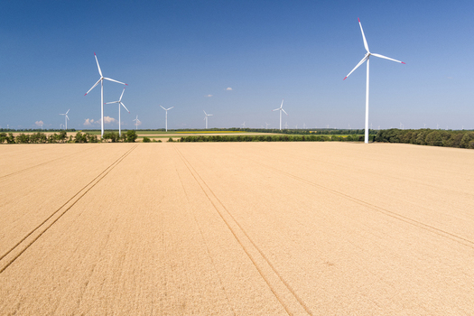 Aerial view of a vast golden wheat field with multiple wind turbines under a clear blue sky in Saints Constantine and Helena Varna Bulgaria.