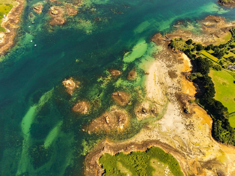Aerial view of the rocky coastline and turquoise waters surrounding the island of Brehat in Ile de Brehat Brittany France.