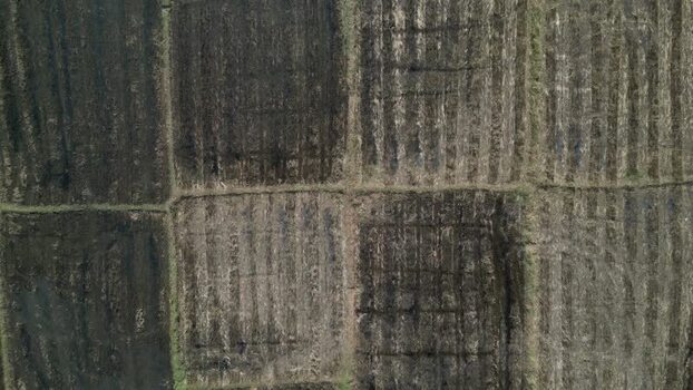 Aerial view of agricultural fields in Sigiriya Sri Lanka.