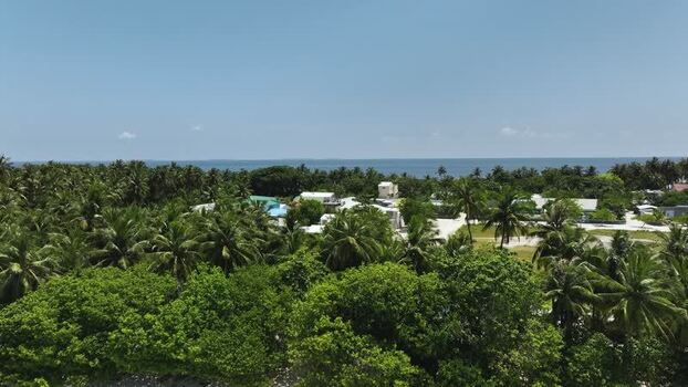 Aerial view of tropical palm trees and village houses Maldives. Aerial view of tropical palm trees and village houses Maldives.