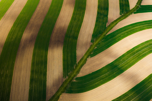 Aerial view of striped agricultural fields with alternating green and brown soil patterns in Brno South Moravian Region Czechia.