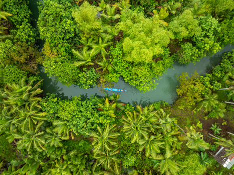 Aerial view of the Coconut river winding through lush tropical palm trees with a small boat floating on the calm water in Siargao Philippines. Aerial view of the Coconut river winding through lush tropical palm trees with a small boat floating on the calm water in Siargao Philippines.