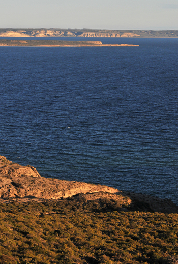 View of the rugged coastline of Puerto Piramides with deep blue ocean water and arid cliffs under soft light in Puerto Madryn Chubut Argentina. View of the rugged coastline of Puerto Piramides with deep blue ocean water and arid cliffs under soft light in Puerto Madryn Chubut Argentina.