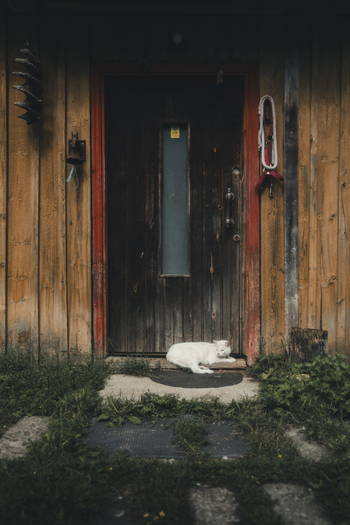 View of a white cat resting on the doorstep of a rustic wooden building with red door frames in Madise Harju County Estonia.