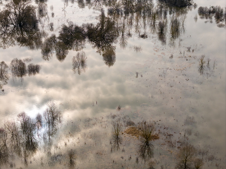 Aerial view of a flooded landscape with bare trees reflecting in the calm water under a cloudy sky Kedainiai Kaunas County Lithuania. Aerial view of a flooded landscape with bare trees reflecting in the calm water under a cloudy sky Kedainiai Kaunas County Lithuania.