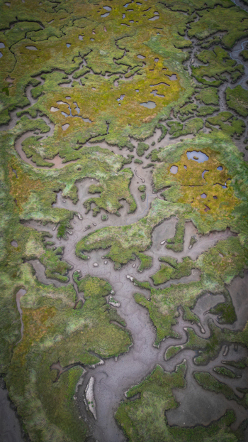 Aerial view of a sinuous network of waterways carving through the vibrant green and earthy terrain creating an intricate tapestry of nature s artistry Henvic Bretagne France.