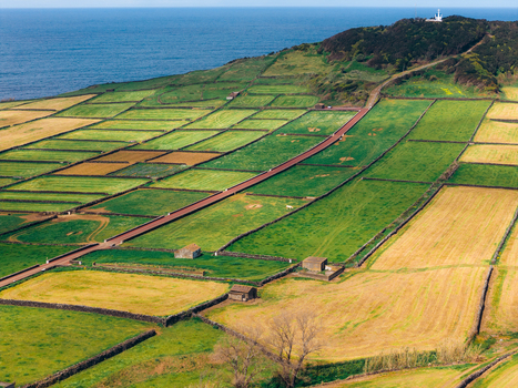 Aerial view of Terceira Island featuring a patchwork of green fields divided by stone walls and a red road leading to a lighthouse on the coast Azores Portugal. Aerial view of Terceira Island featuring a patchwork of green fields divided by stone walls and a red road leading to a lighthouse on the coast Azores Portugal.