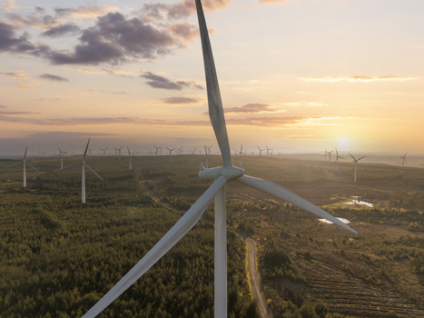 Aerial view of Eaglesham moor wind farm with numerous turbines standing over forested hills under a golden sunset sky Kilmarnock Scotland United Kingdom.