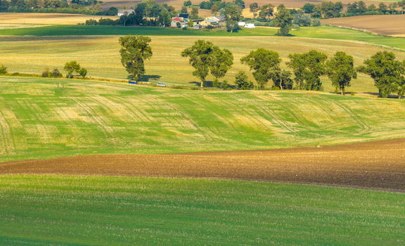 Aerial view of rolling agricultural fields with rows of trees and farm buildings in the distance in Pomeranian Voivodeship Poland.