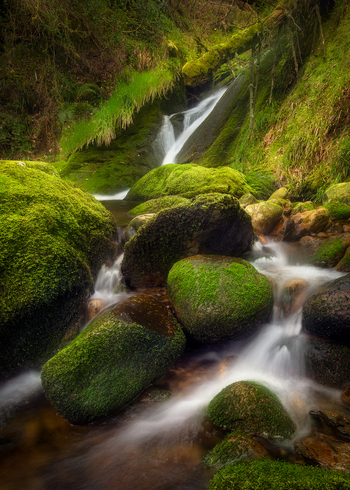 View of a small waterfall flowing over large mossy rocks along the Wicklow Way in a lush green forest County Wicklow Ireland. View of a small waterfall flowing over large mossy rocks along the Wicklow Way in a lush green forest County Wicklow Ireland.