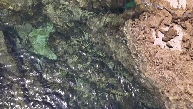 Aerial view of clear water over a rocky seabed Portugal. Aerial view of clear water over a rocky seabed Portugal.