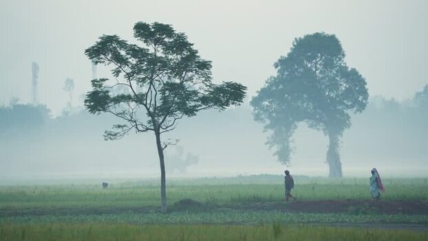 View of people walking through misty green fields in Bangladesh. View of people walking through misty green fields in Bangladesh.