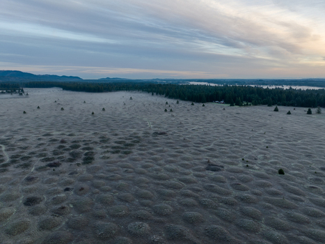Aerial view of Mima Mounds Natural Area Preserve featuring unique geological formations under a soft morning sky near a dense evergreen forest in Olympia Washington United States.