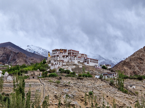 View of Chemrey Gompa a historic Buddhist monastery perched on a rocky hillside with snow capped mountains and lush green trees in the foreground in Chemrey Ladakh India.