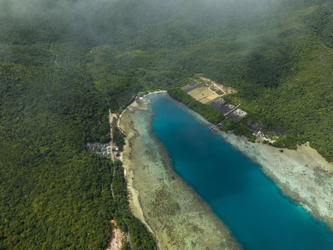 Aerial view of the turquoise waters meeting the vibrant green forests a coastal embrace of nature s diverse palette Karimunjawa Central Java Indonesia.