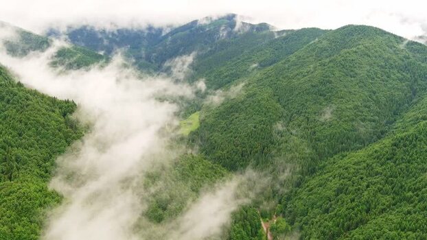 Aerial view of misty green mountains in Romania. Aerial view of misty green mountains in Romania.
