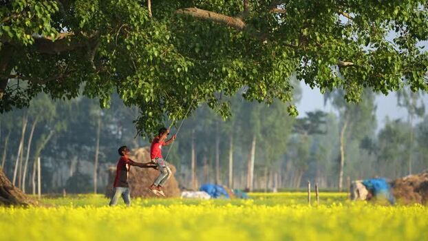 View of boys playing on a swing in a mustard field Bangladesh. View of boys playing on a swing in a mustard field Bangladesh.