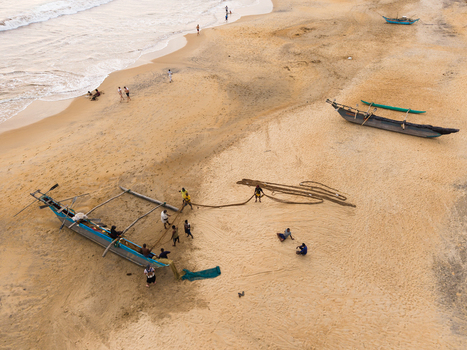 Aerial view of traditional outrigger fishing boats and fishermen working on the sandy shore with gentle waves Galle Southern Province Sri Lanka.