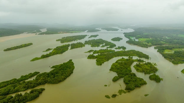 Aerial view of the lush green islands in the Sharavathi River backwaters with a bridge spanning the water under an overcast sky in Honnavar Karnataka India.