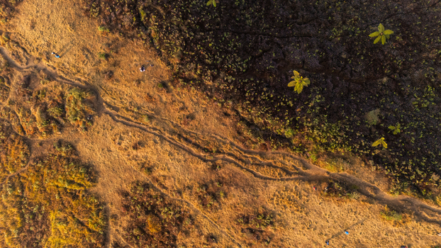 Aerial view of the landscape at Sunrise Camp Gunung Prau featuring dry golden grass dark volcanic soil and winding trails in Kecamatan Kejajar Jawa Tengah Indonesia.