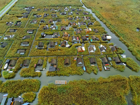Aerial view of traditional stilt houses nestled within dense reed beds and water channels on Lake Neusiedl in Rust Burgenland Austria.